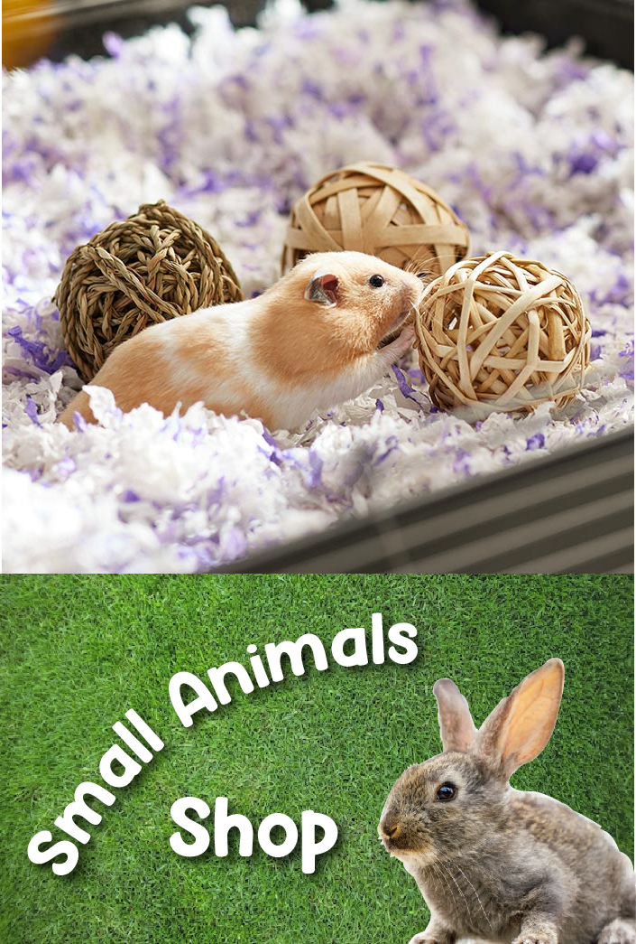 Small Animals